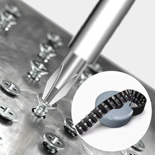 Tragbarer magnetischer Bit- und Ratschenschraubendrehersatz - 21-teilig