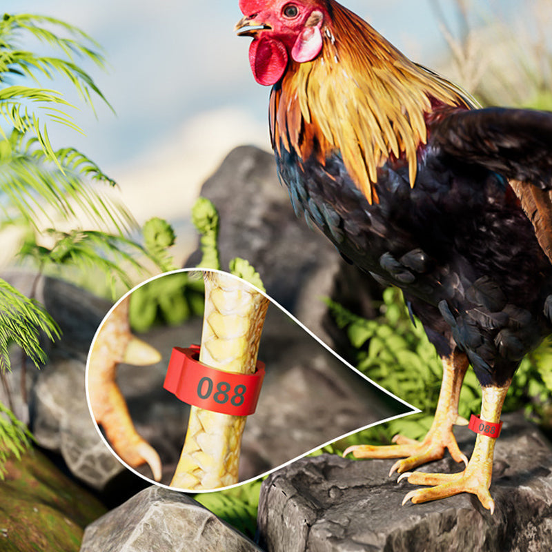 Adjustable Snap-On Poultry Leg Bands