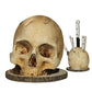 💀 Creatieve harsen schedel meshouder – stoer design, stevig en stabiel voor al je messen.