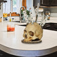 💀 Creatieve harsen schedel meshouder – stoer design, stevig en stabiel voor al je messen.
