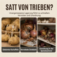 🥔 50 % RABATT 📦 Vliesstoff-Gemüsebeutel, groß, für Kartoffeln, Zwiebeln und Gemüse 🧅